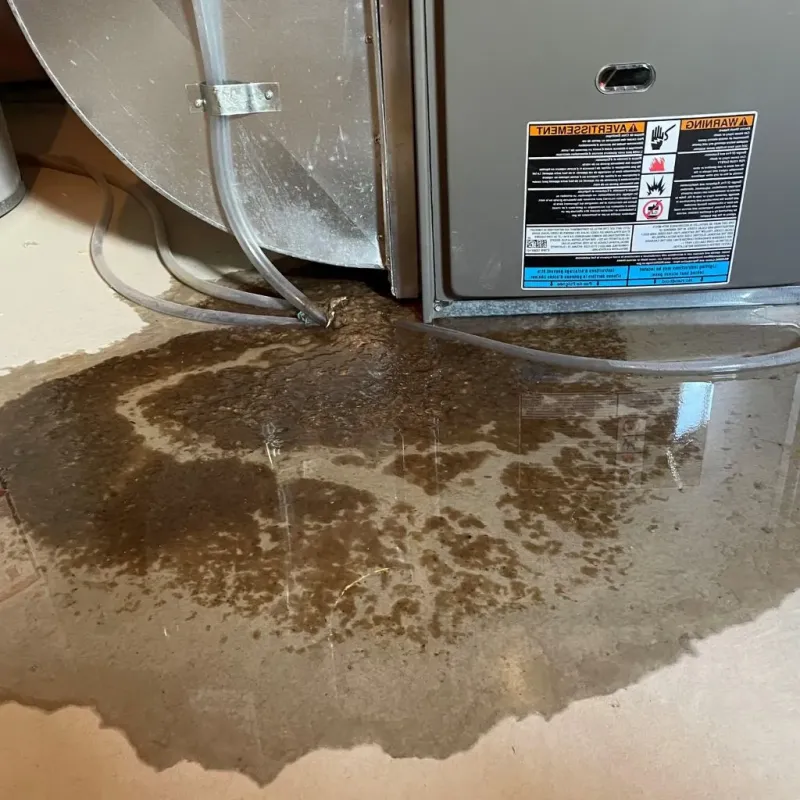 Pipe Burst and Leak Restoration in Nurillo, TX