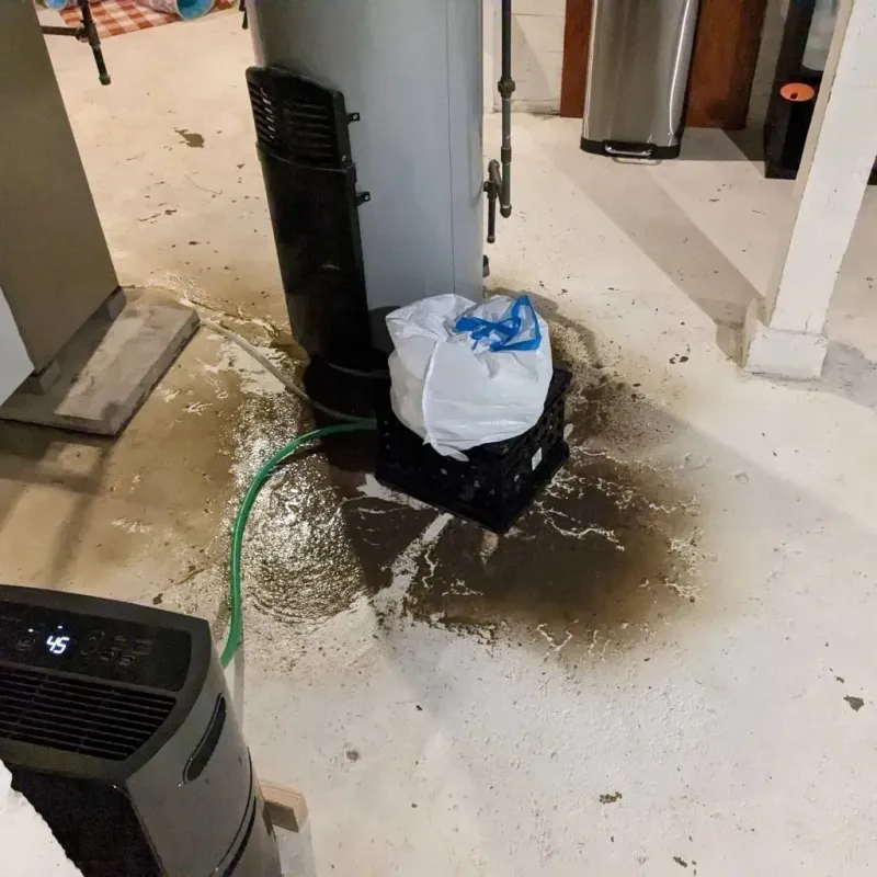Sewage Backup Cleanup Service in Nurillo, TX